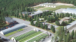 Metlan Suonenjoen toimipaikka on erikoistunut viljelymetsätalouden tutkimukseen ja kehittämistyöhön. 