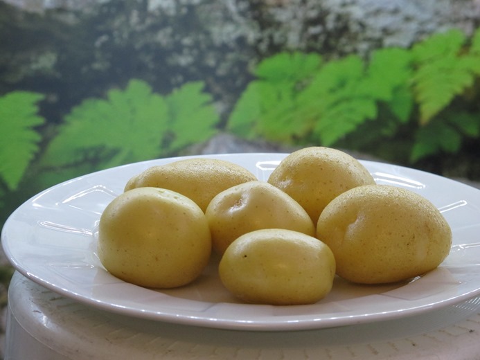 Jussi-peruna jäänee viimeiseksi kotimaassa jalostuksi perunalajikkeeksi.